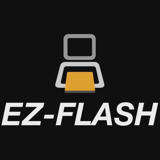 EZ Flash Junior Jr senkogames